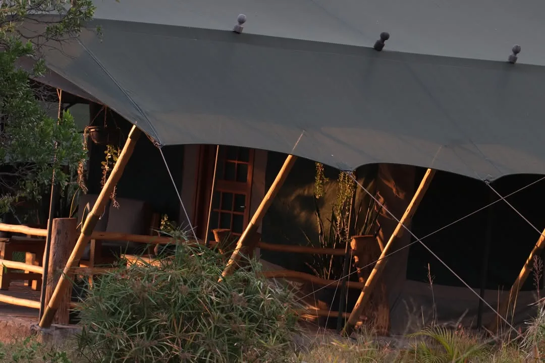 Mara Maisha Camp